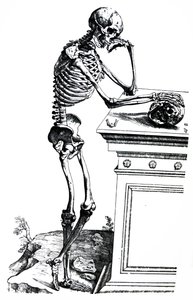 Tallrikarna från den sjunde boken av De Humani Corporis Fabrica av Andreas Vesalius