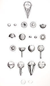 Tallrikarna från den sjunde boken av De Humani Corporis Fabrica av Andreas Vesalius