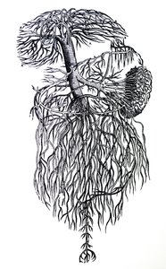 Tallrikarna från tredje boken av De Humani Corporis Fabrica av Andreas Vesalius