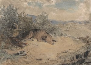 Fårhund sover i ett landskap
