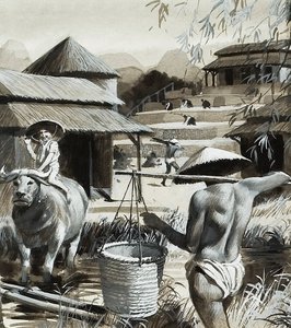 Jordbruk i Kina (gouache på papper) av Andrew Howat