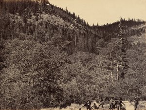 Plansch 19. Bland timmerstockarna vid Little Laramie River,1869 (foto) av Andrew Joseph Russell
