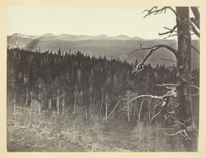 Snö- och timmerlinje, Medicine Bow Mountain av Andrew Joseph Russell