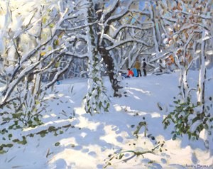 Julpulka i Allestree Woods,16x20 ,2013