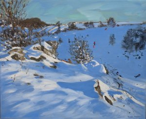 Sledgers, Derbyshire, 2011 av Andrew Macara