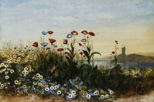Ferrycarrig Castle, Co. Wexford, Seen Through a Bank of Wild Flowers,