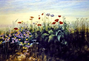 Vilda blommor (akvarell på papper)