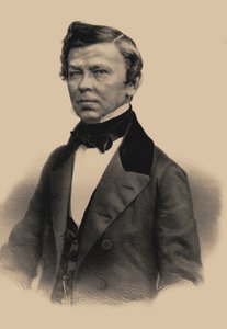 Porträtt av poeten Vladimir Grigorievich Benediktov 1807-1873, 1870