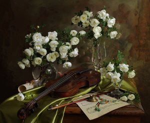 Vitrosor – violinmusik