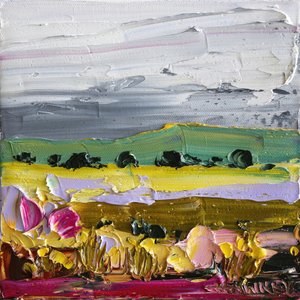 Livfulla landsbygdsfält