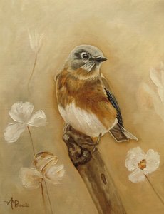 Ömma fåglar och blommor av Angeles M. Pomata