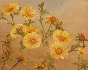 Blommor i Golden Garden av Angeles M. Pomata