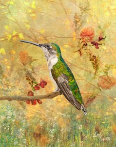 Guldkolibrins sittpinne av Angeles M. Pomata