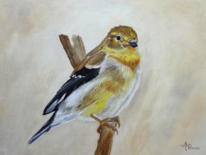 En gul fink som sitter på en gren av Angeles M. Pomata