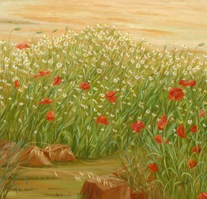 Sommarpoppies – ett fält med prästkragar