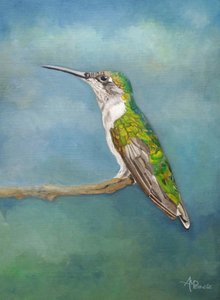 Färgglad kolibri-sittpinne av Angeles M. Pomata