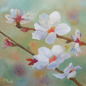 Vita mandelblommor