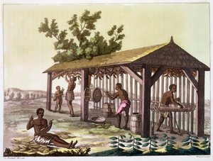 Slavar som förbereder tobak, Virginia, USA. c1790 c1820-1839