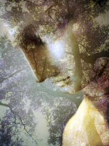 Ethereal Forest – profil av Angelo Cerantola