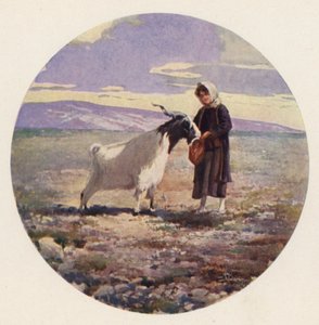 Goatherd, Attika, Grekland (färg litho)