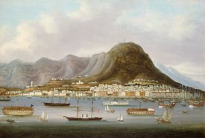 Utsikt över Hong Kong