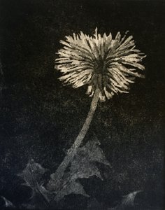 Hope, 2019 (etsning och akvatint på papper) av angus hampel