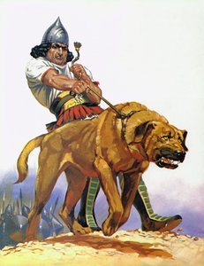 Assyrisk stridshund (färglitografi)