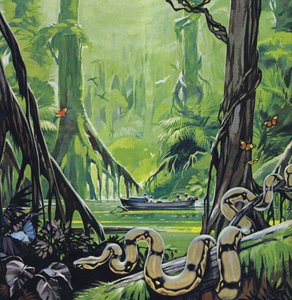 Utforskar Amazonfloden (färglitografi)