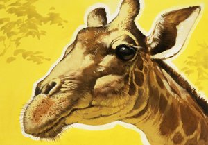 Giraffens huvud av Angus McBride