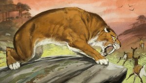 Sabeltandad tiger ute på jakt av Angus McBride