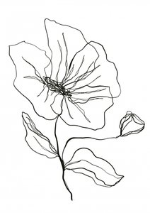 Skiss av en ömtålig blomma