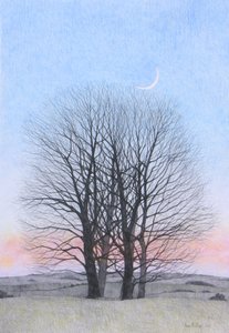 New Moon, 2011 (färgpenna på papper) av Anna Phillips