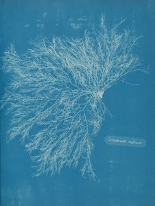 Röd keramik, ca. 1853