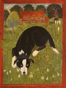 Collie hund (akryl) av Anna Pugh