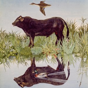 Reflekterande, 2004 (akryl) av Anna Pugh
