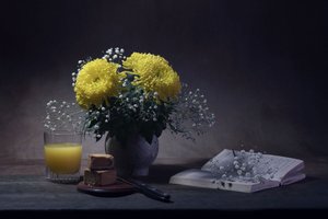  av Anna Qu