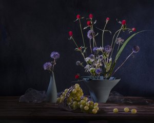  av Anna Qu