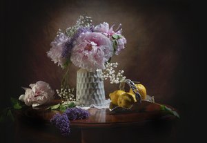  av Anna Qu