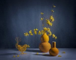  av Anna Qu