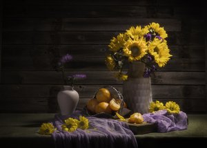  av Anna Qu