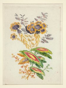 Fantastiska blommor, från New Suite of Notebooks of Ideal Flowers för användning av designers och målare