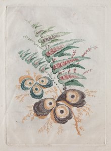Ny svit med portföljer med blommor Idealisk att använda för design och målning: blomfantasier av Anne Allen