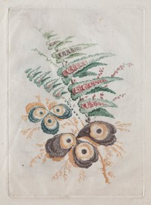 Ny svit med portföljer av blommor idealiska att använda för design och målning: Blommig fantasi, ca. 179