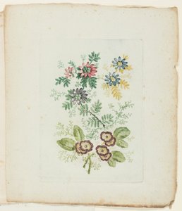 Tallrik, från New Suite of Notebooks of Ideal Flowers för användning av ritare och målare