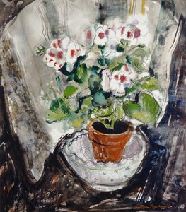 Pelargonium (akvarell på papper)