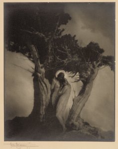 Stormens hjärta av Anne W. Brigman