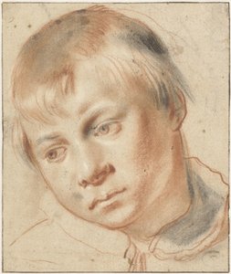 Studie av ett pojkehuvud Studie av ett huvud av en pojke av Annibale Carracci (attributed to)