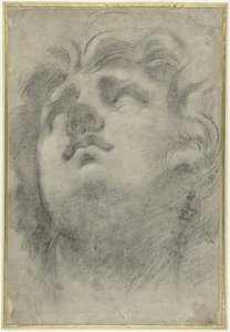 Ser huvudet av en triton av Annibale Carracci