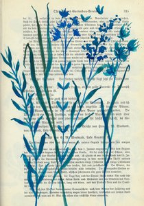 Blå blommor – gammal text av Annick