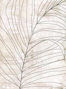 Minimalistiska botaniska linjer